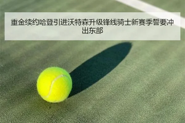 重金续约哈登引进沃特森升级锋线骑士新赛季誓要冲出东部